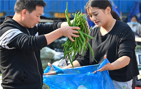 合肥蔬菜價(jià)格止?jié)q回落