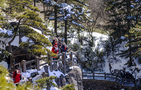 銀裝素裹！黃山春雪分外嬌