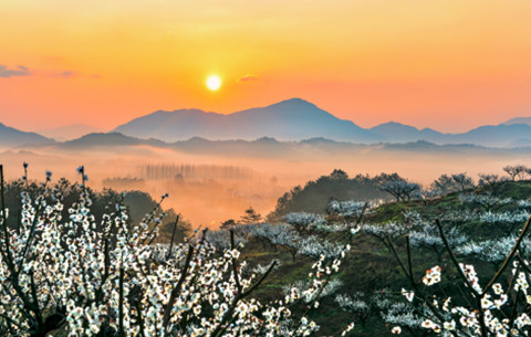 植樹(shù)節(jié)丨“手”護(hù)綠色 為春天添“彩”