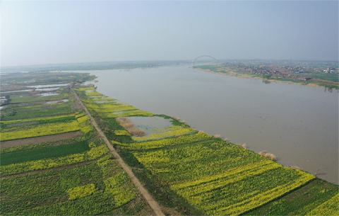 春風(fēng)又綠淮河岸