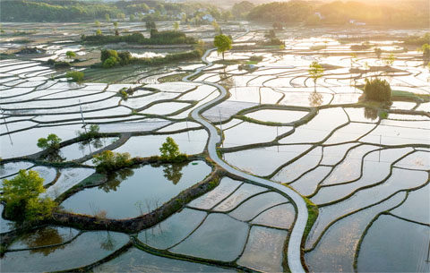 云上梯田 蓄水成畫(huà)