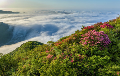 【“飛閱”中國】高山流云 嶺上花紅