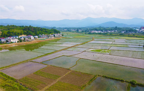 【“飛閱”中國(guó)】夏日田園 繽紛如畫(huà)