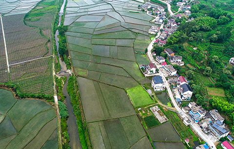 【“飛閱”中國(guó)】夏日田園 綠色畫卷