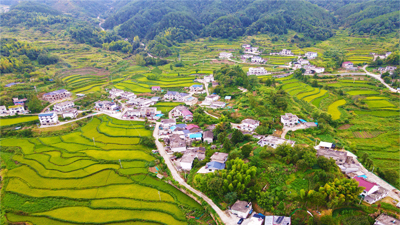 【“飛閱”中國(guó)】梯田秋景美如畫