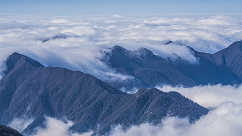 黃山云海 水墨畫(huà)境