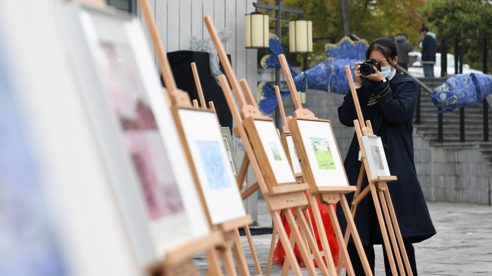 合肥：校園里舉辦藝術展